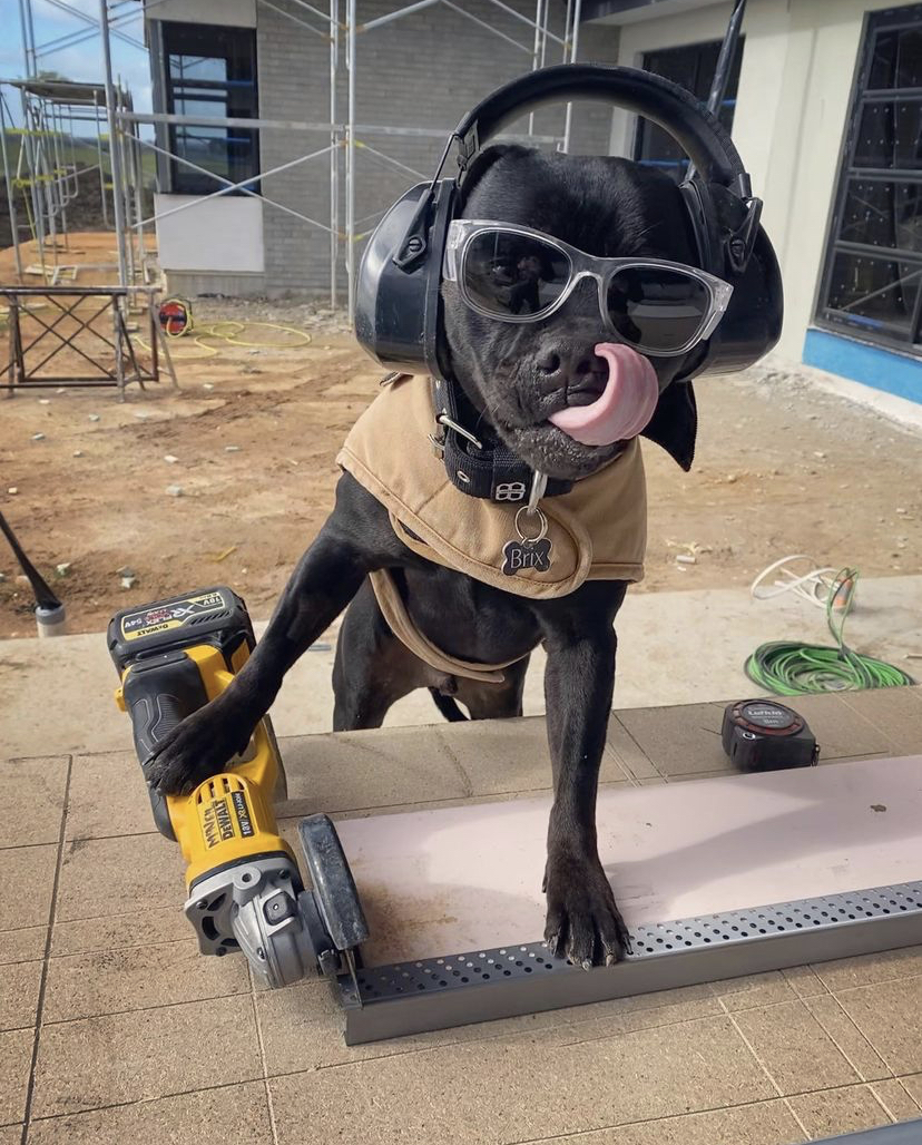 now he's standing at a power saw bench, his paw on the saw, sunglasses and earmuffs on, his tongue sticking out. he's so cool