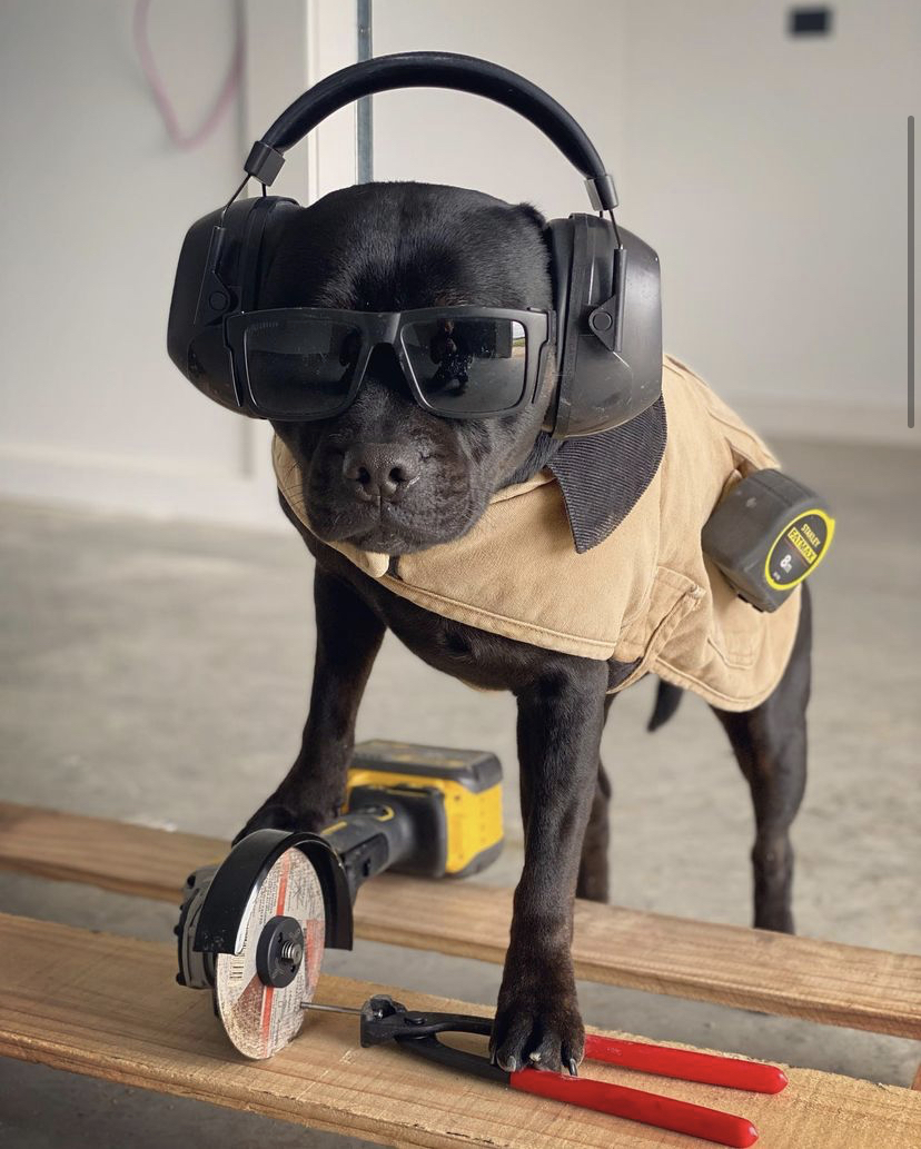 once again he's wearing his glasses and earmuffs, this time he has a tape measure attached to his hip