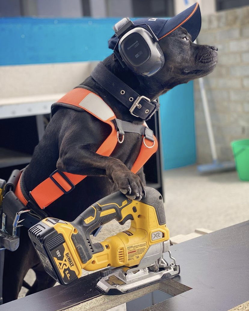 another day another power tool, except now he's wearing a ball cap and orange safety vest