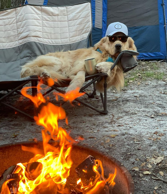 a golden retriever lounges luxuriously in a camping chair loveseat. he’s laying on his left side, propped up slightly by the chair’s armrest, and staring coolly straight ahead. he’s wearing a gray baseball cap, very dark sunglasses, and has a cup propped up between his front paws. in the foreground, a campfire blazes brightly. you cannot conceive of a ghost story he hasn't heard before.
