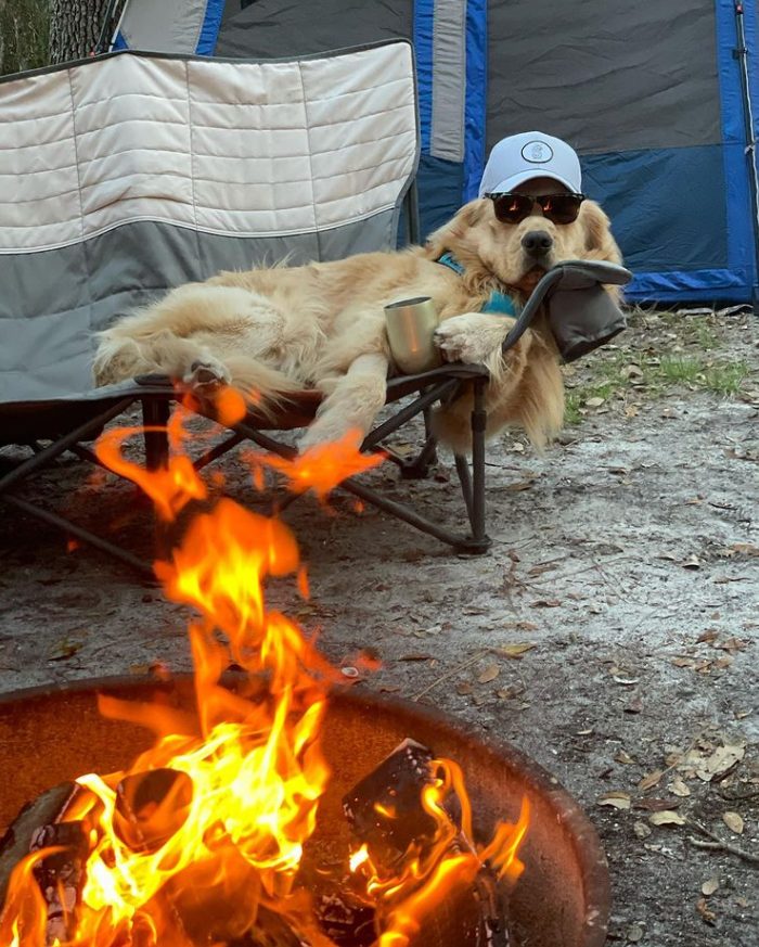 a golden retriever lounges luxuriously in a camping chair loveseat. he’s laying on his left side, propped up slightly by the chair’s armrest, and staring coolly straight ahead. he’s wearing a gray baseball cap, very dark sunglasses, and has a cup propped up between his front paws. in the foreground, a campfire blazes brightly. you cannot conceive of a ghost story he hasn't heard before.